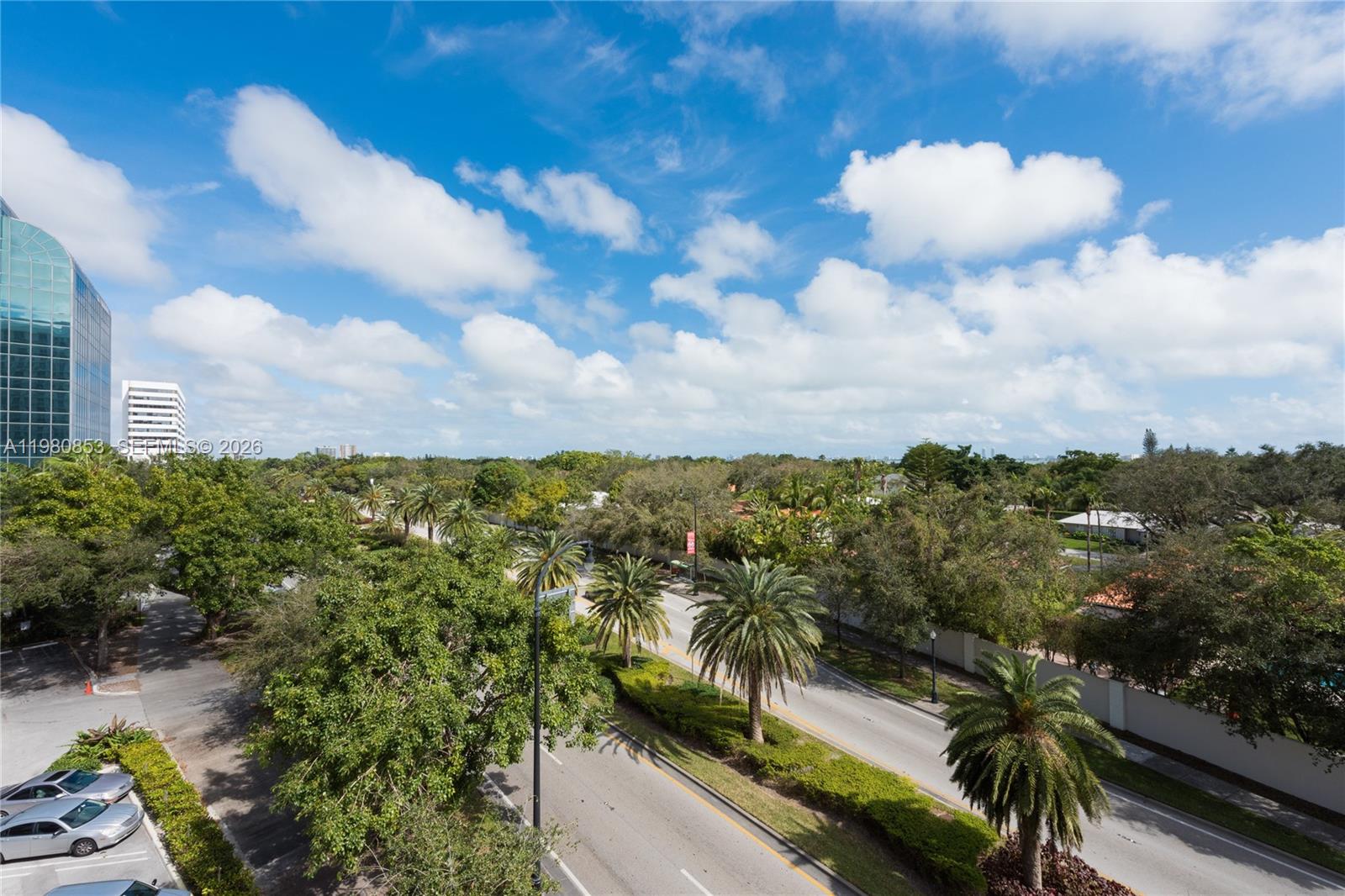 An elevated view shows a road lined with palm trees and trees under a cloudy sky — 4250 Biscayne Blvd # 502, Miami FL 33137, MIAMI, FL