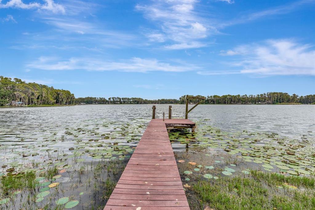 A wooden dock extends into a lake filled with lily pads under a blue sky — 19207 CROOKED LANE, LUTZ, FL