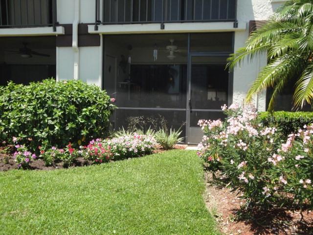 A ground-floor patio with a screen enclosure sits beside a lawn and flowering bushes — 6365 BAHIA DEL MAR BOULEVARD UNIT 113, ST PETERSBURG, FL