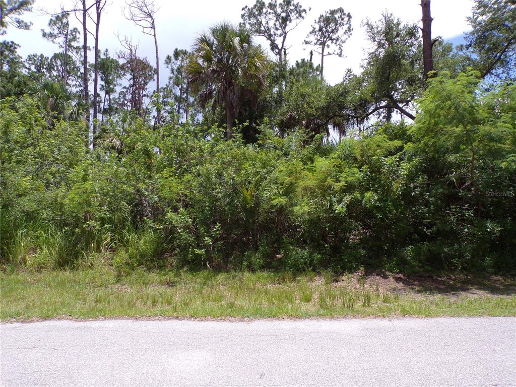 A view of a densely wooded, undeveloped residential lot from an adjacent paved road — 18179 WINTERS AVENUE, PORT CHARLOTTE, FL