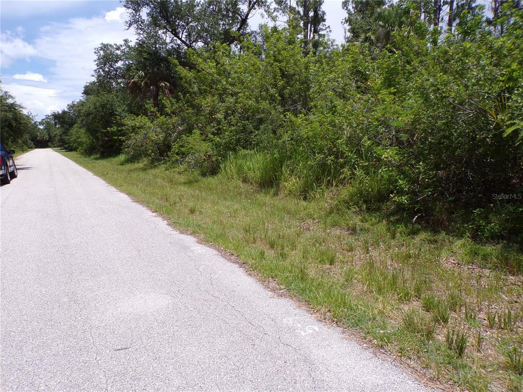 A paved road runs alongside a dense, overgrown wooded lot on a sunny day — 18179 WINTERS AVENUE, PORT CHARLOTTE, FL
