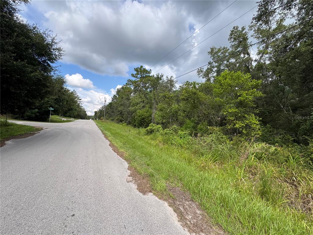 A paved road runs alongside a wooded lot under a partly cloudy sky — 3207 E PORTER STREET, INVERNESS, FL