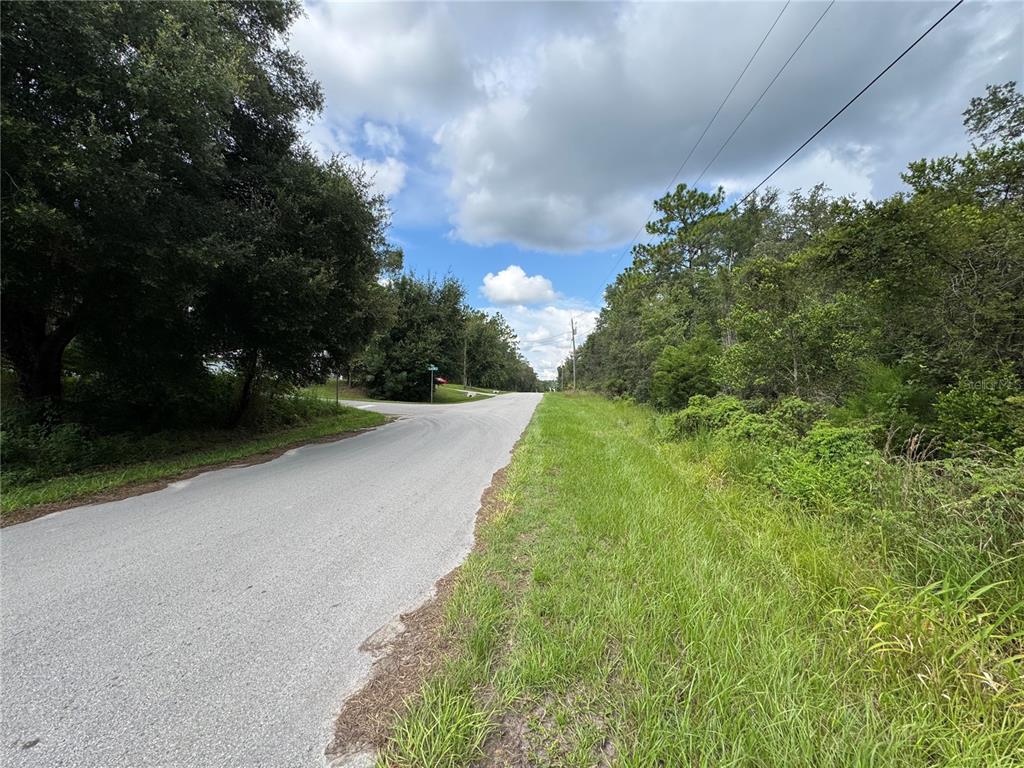 A paved road curves through a rural area with dense trees and grassy shoulders — 3207 E PORTER STREET, INVERNESS, FL