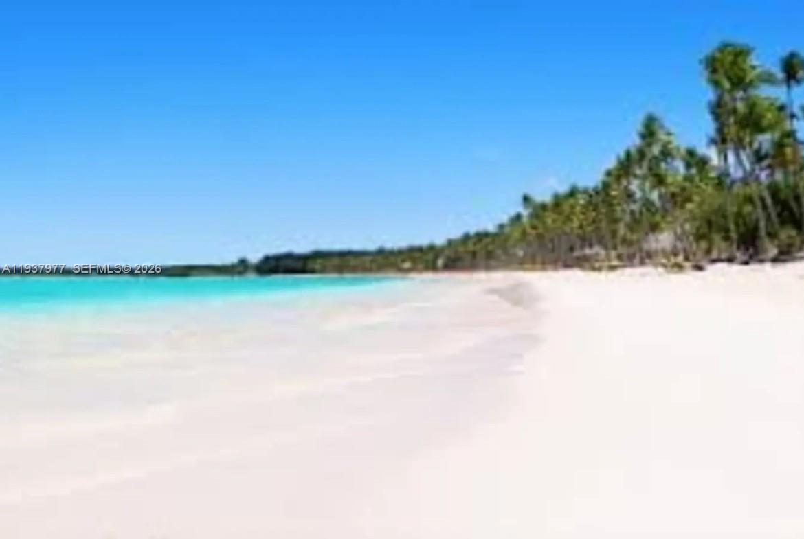 A white sand beach meets turquoise water under a clear blue sky with palm trees — Alta Vista l Villa PUNTA CANA, FL, FL
