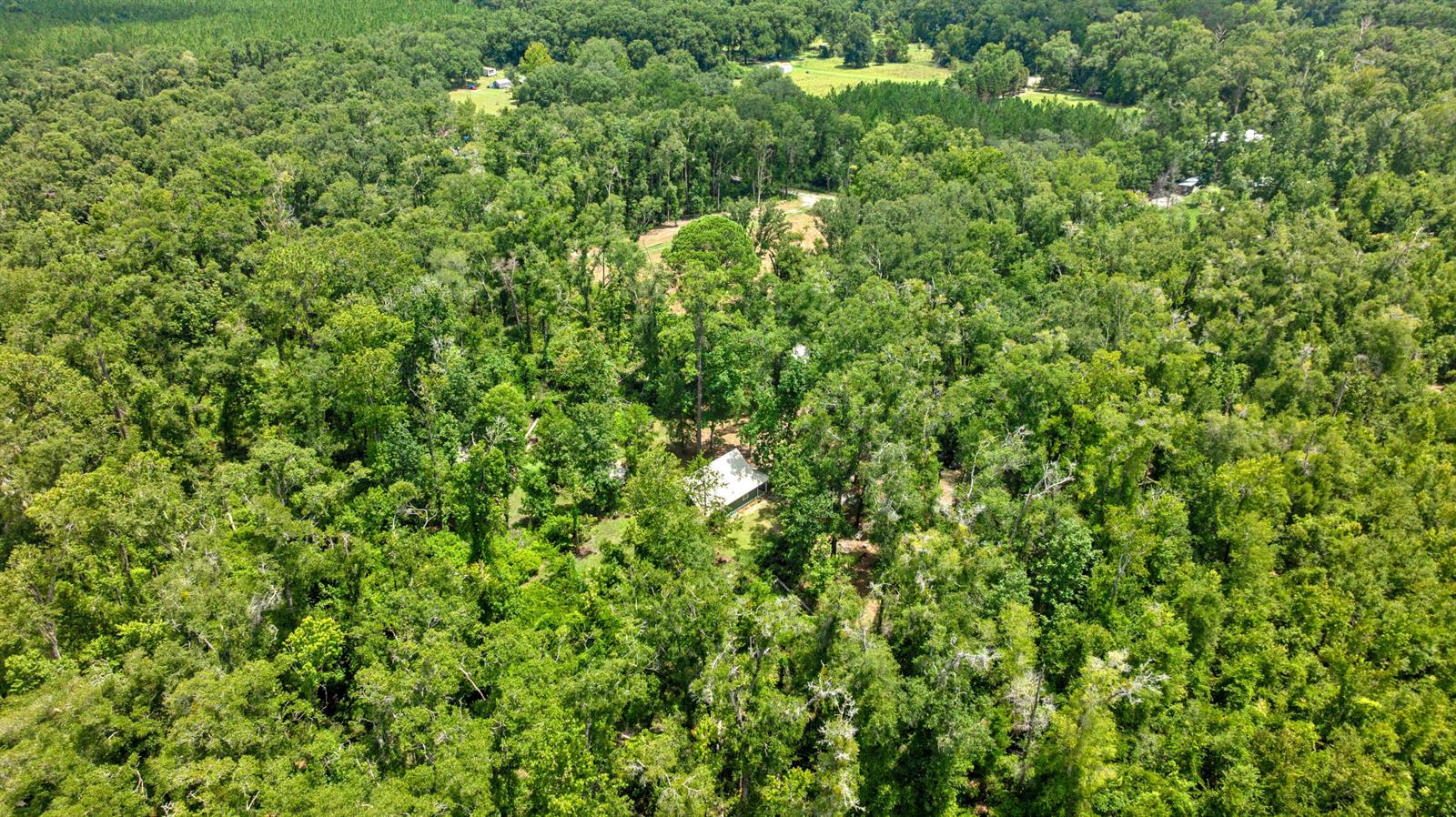 An aerial view shows a house nestled within a dense, green forest — 694 SW Quarter Lane, FL 32038, FL