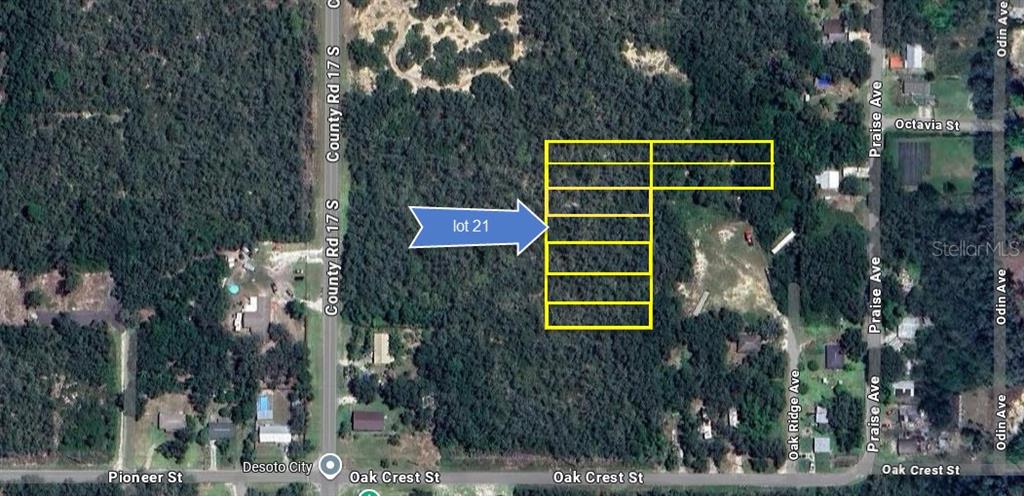 An aerial map shows a highlighted lot and surrounding wooded land near several streets — 6101 OAK RIDGE AVENUE LOT 21, SEBRING, FL