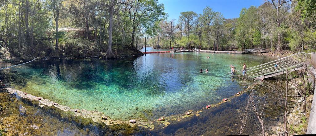 A panoramic view of a clear blue natural spring surrounded by trees and swimming areas — 7296 NW 170TH STREET, TRENTON, FL