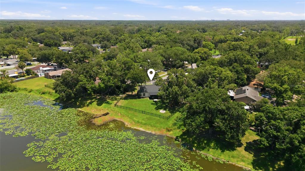 An aerial view shows a house with a fenced backyard situated next to a lake — 17508 BRANDYWINE DRIVE, LUTZ, FL