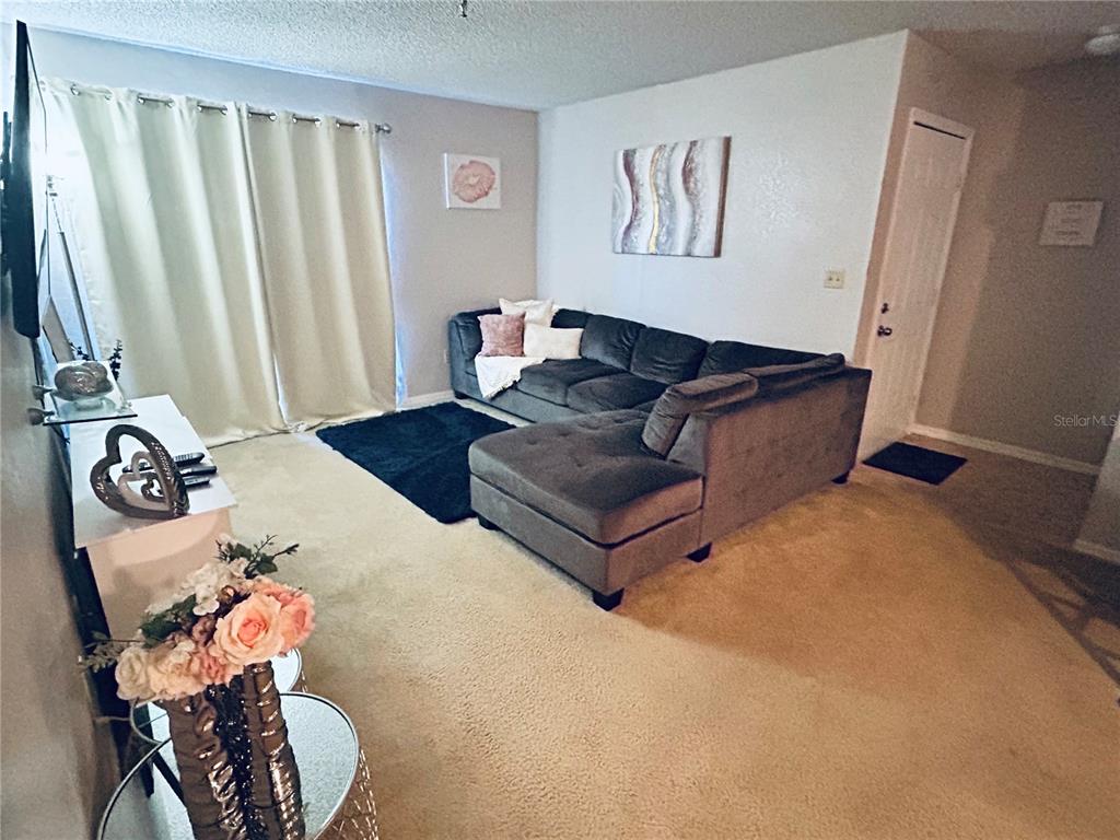 A living room features a gray sectional sofa, beige carpeting, and a white media console — 10265 GANDY BOULEVARD N UNIT 1603, ST PETERSBURG, FL