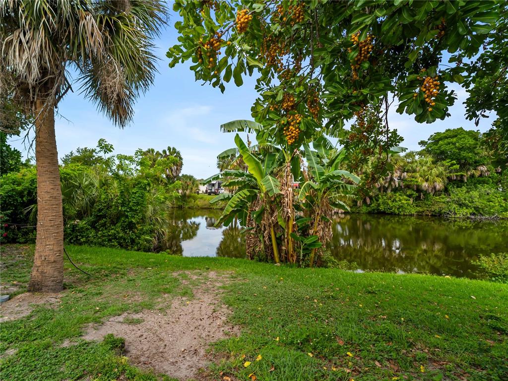 A grassy yard overlooks a small pond surrounded by palm trees and lush tropical vegetation — 3181 NORMANDY DRIVE, PORT CHARLOTTE, FL