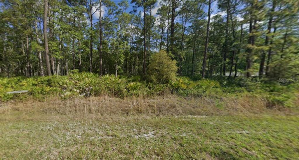 608 HICKORY NUT TRAIL