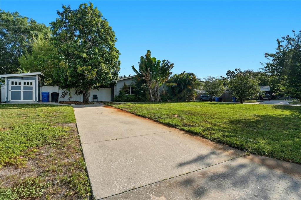 A concrete driveway leads to a single-story house with a shed and mature trees — 2310 29TH STREET N, ST PETERSBURG, FL