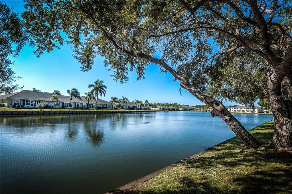 A large oak tree leans over a calm lake with residential buildings in the background — 11644 SW EGRET CIRCLE UNIT 506, LAKE SUZY, FL