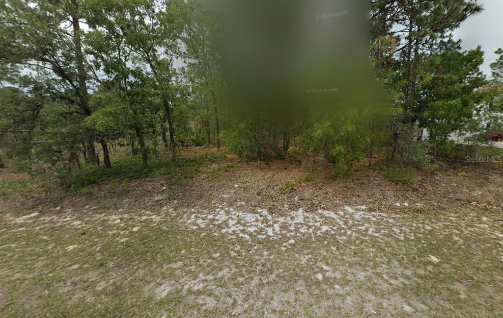 A view of a wooded, undeveloped lot with sandy ground and scattered trees — 2065 W TACOMA DRIVE, CITRUS SPRINGS, FL