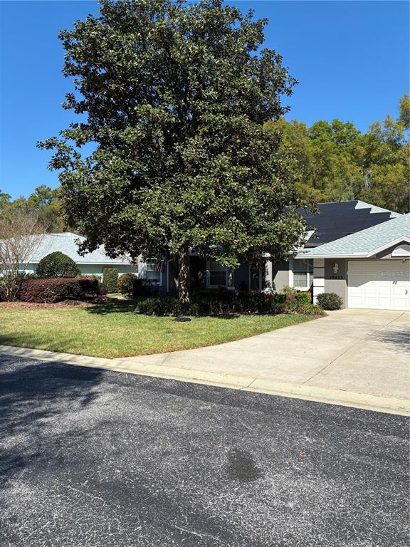 A large tree stands in the front yard of a single-story house with solar panels — 19433 SW 82ND PLACE ROAD, DUNNELLON, FL