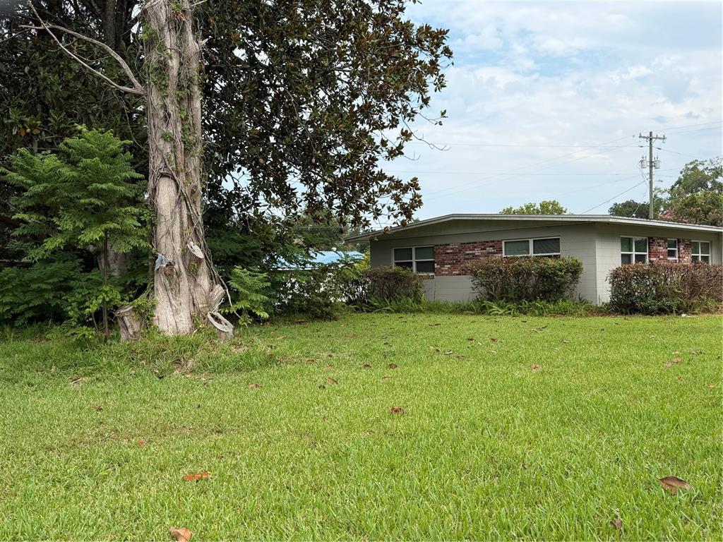 A single-story house with a brick accent wall stands behind a large tree and lawn — 16726 NW COUNTY ROAD 235A, ALACHUA, FL
