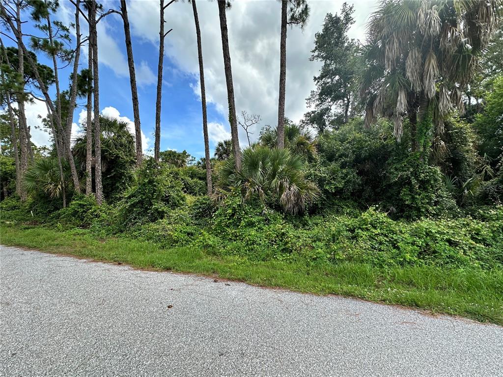 A paved road borders a dense, wooded lot filled with tall pine trees and palmettos — RUFUS ROAD, NORTH PORT, FL