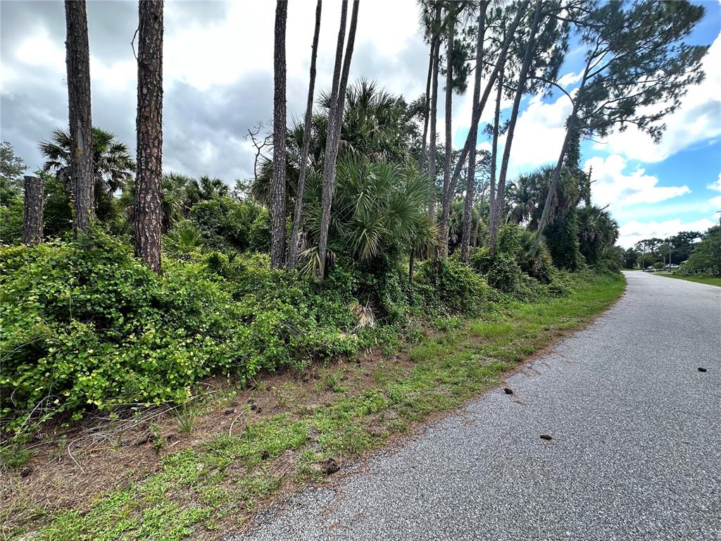 A wooded, undeveloped lot with tall pine trees and dense vegetation borders a paved road — RUFUS ROAD, NORTH PORT, FL