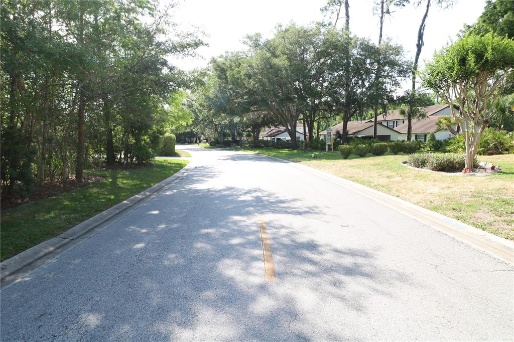 A paved residential street lined with mature trees and houses on a sunny day — 5424 SADDLEBROOK WAY, WESLEY CHAPEL, FL