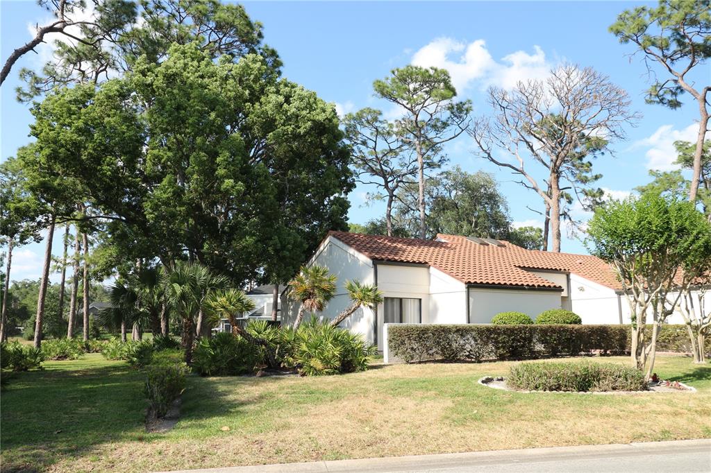 A single-story residential building with a tiled roof sits behind a manicured hedge and lawn — 5424 SADDLEBROOK WAY, WESLEY CHAPEL, FL