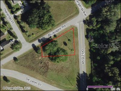 This is an aerial map showing a vacant, triangular-shaped lot bordered by three roads — ORTIZ BOULEVARD, NORTH PORT, FL