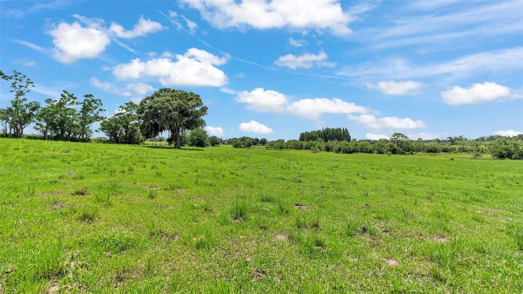 A large, grassy field features scattered trees under a bright blue sky with white clouds — 8450 ALTURAS BABSON PARK CUTOFF ROAD, BARTOW, FL