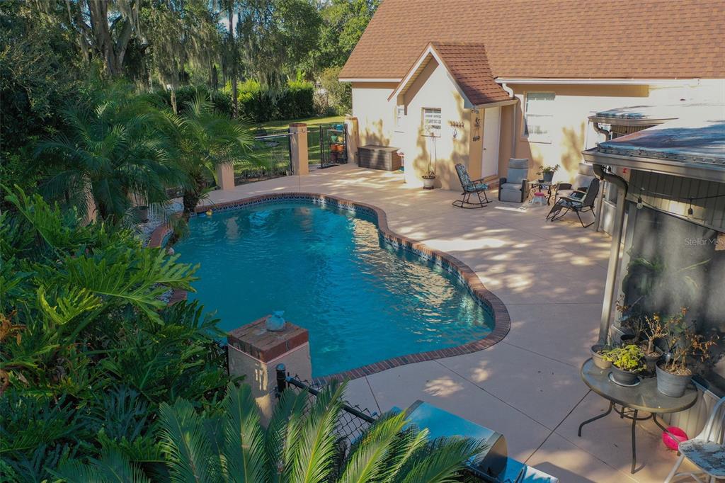 An outdoor patio features a kidney-shaped swimming pool, lounge chairs, and lush tropical landscaping — 1415 PIER COURT, LAKELAND, FL