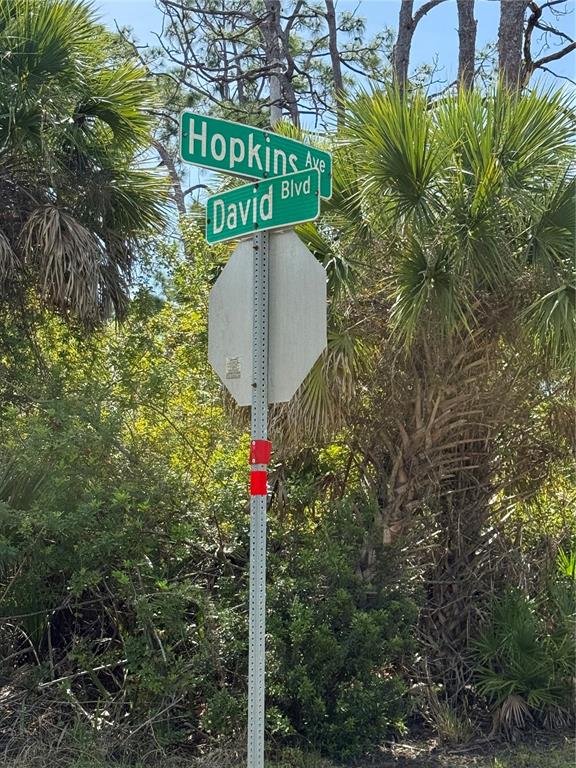 A street sign for Hopkins Avenue and David Boulevard stands in front of lush trees — 5101 HOPKINS AVENUE, PORT CHARLOTTE, FL