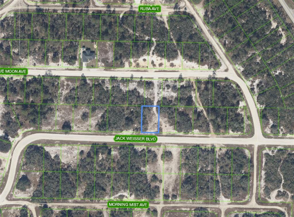 An aerial map shows a highlighted rectangular vacant lot bordered by paved roads — 462 JACK WEISSER BOULEVARD, LAKE PLACID, FL
