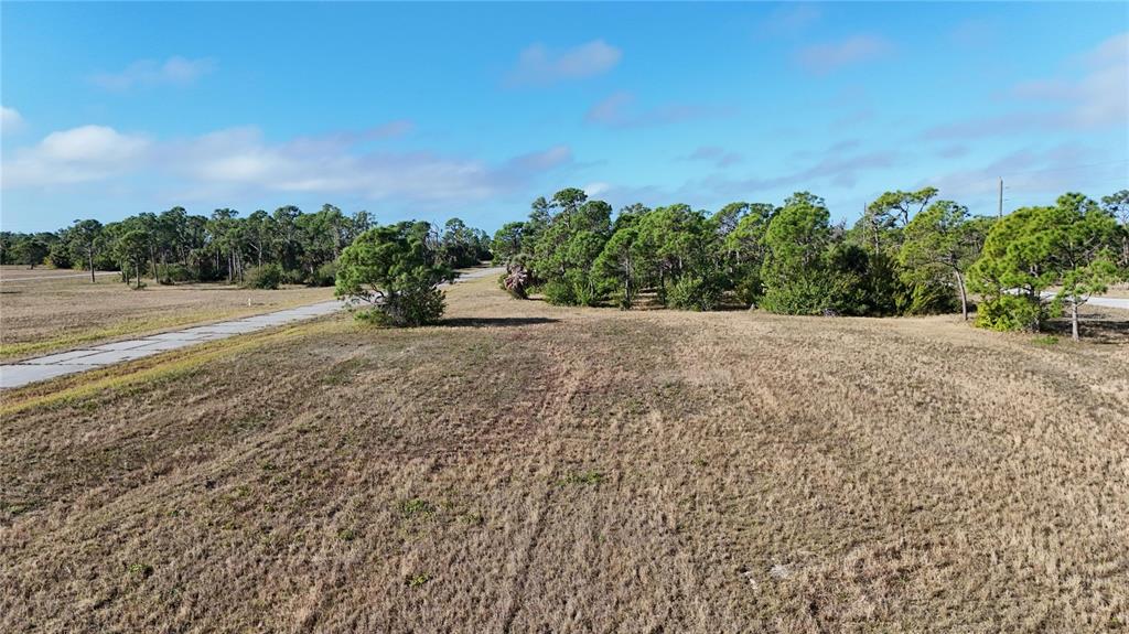An aerial view of a vacant, grassy lot bordered by trees and a paved road — 14260 BLUEFISH COURT, PLACIDA, FL