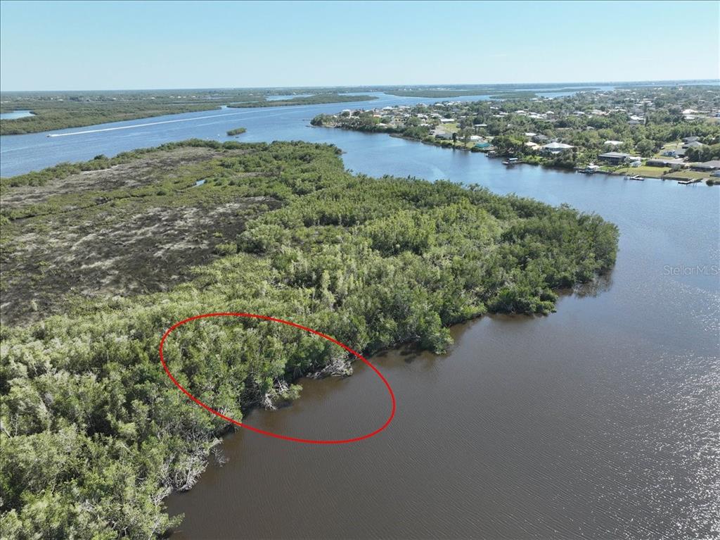 An aerial view shows a red circle highlighting a section of dense vegetation along a waterway — 2285 DELAN DRIVE, PUNTA GORDA, FL
