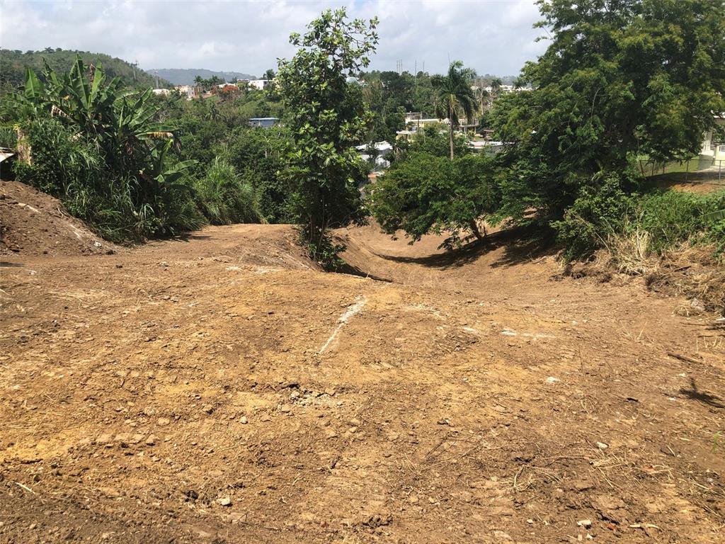 A sloped, cleared dirt lot overlooks a lush valley with trees and distant houses — BO BUENA VISTA , CARR 167 KM.HM 13.9, BAYAMON, PR