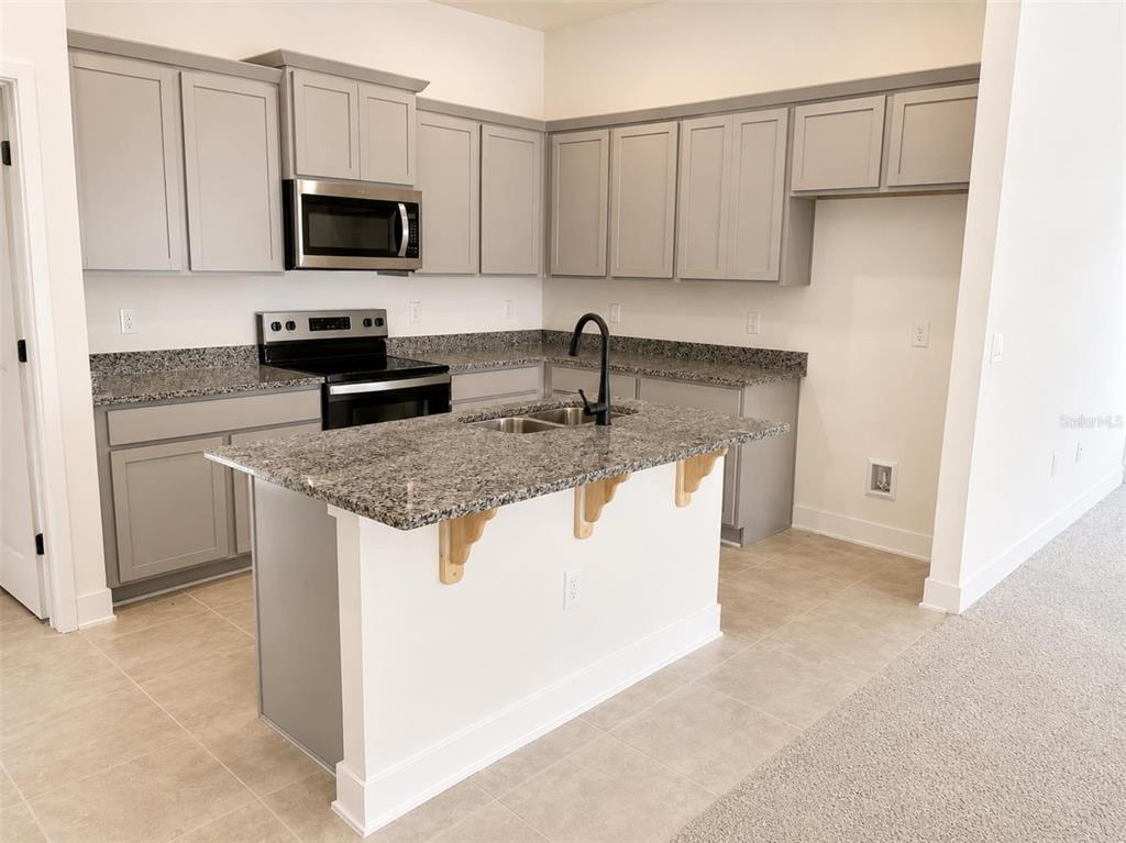 A kitchen features gray cabinets, granite countertops, a center island, and stainless steel appliances — 1631 ANN ROSE WAY, LEESBURG, FL