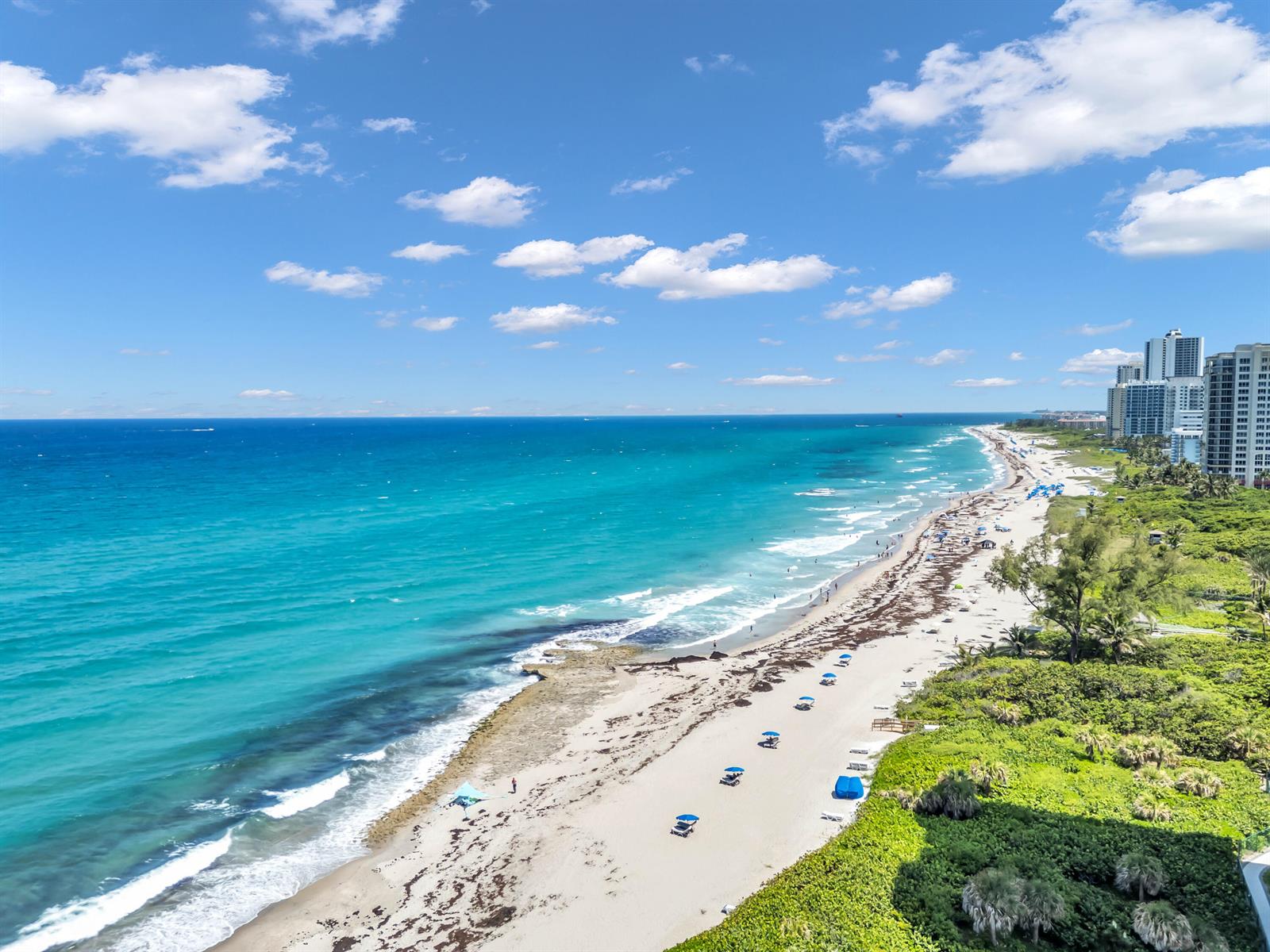 An aerial view of a sandy beach with turquoise water, palm trees, and coastal high-rise buildings — 4100 N Ocean Drive # 1101, West Palm Beach FL 33404, WEST PALM BEACH, FL