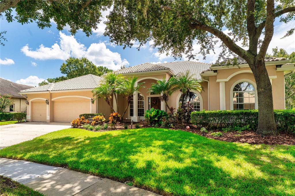 9117 WOODRIDGE RUN DRIVE