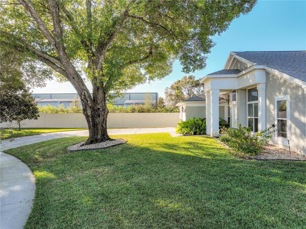 A large tree stands in the front yard of a house with a concrete driveway — 9244 BEAVER COVE, APOPKA, FL