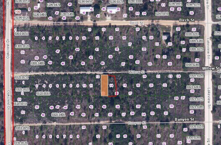 00 WILLOW ST STREET, INTERLACHEN, FL — photo 2 of 3