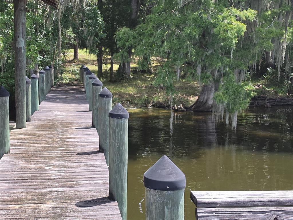 A wooden dock extends over dark water toward a tree-lined shore with hanging moss — 123 WHITNEY STREET, SATSUMA, FL