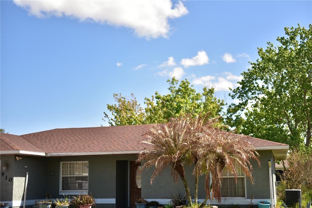 A single-story house with gray stucco walls, a brown shingled roof, and a palm tree — 910 LOUVRE COURT, KISSIMMEE, FL