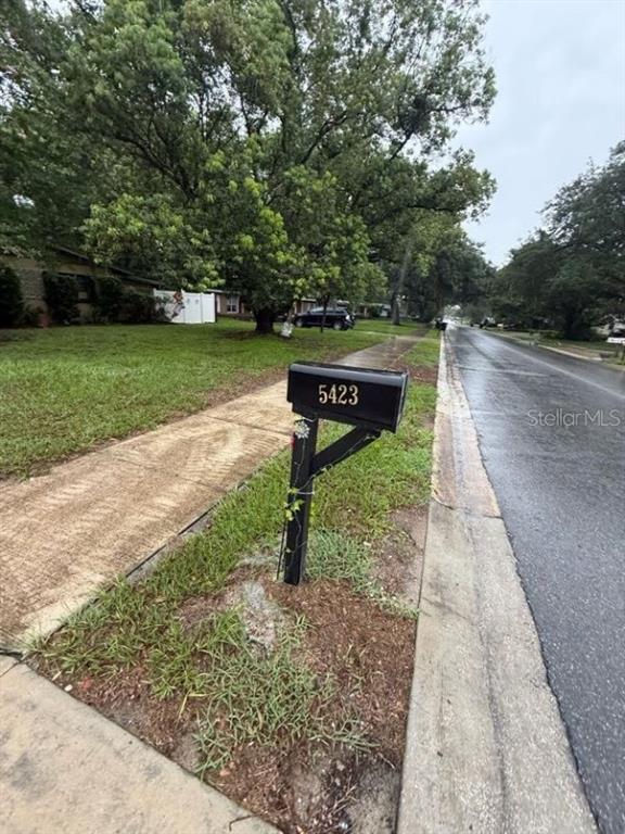 A black mailbox with the number 5423 stands on a grassy curb beside a paved road — 5423 ASHMEADE ROAD, ORLANDO, FL