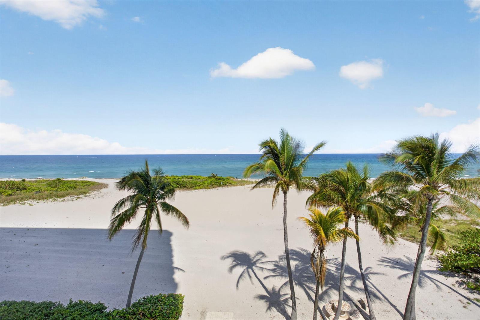 A view of a sandy beach with palm trees under a blue sky — 1012 N Ocean Boulevard # 408, Pompano Beach FL 33062, POMPANO BEACH, FL