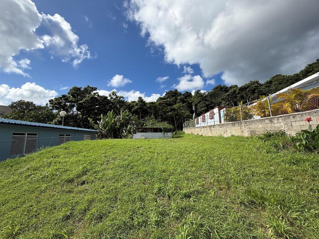 A grassy, sloped lot sits between a blue house and a concrete retaining wall — PR-759 (Int) CALLE 5 LOTE 269, MAUNABO, PR