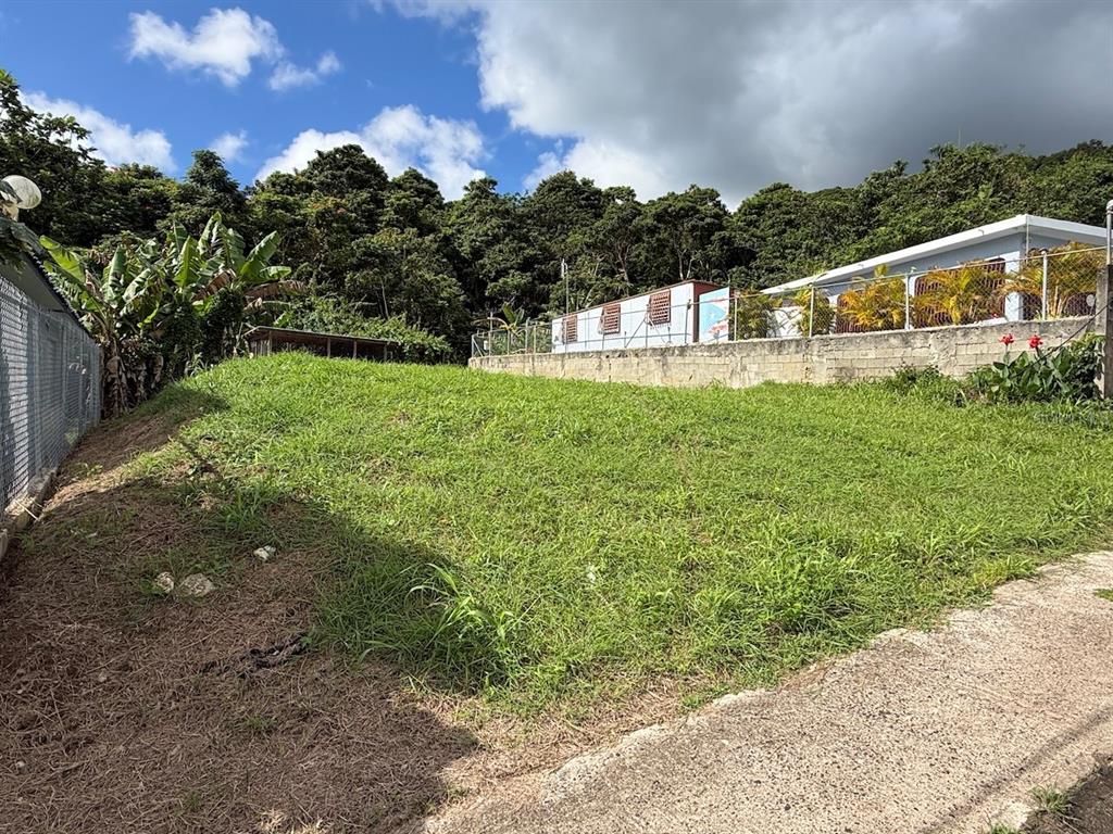 A grassy, sloped vacant lot sits next to a concrete wall and a neighboring house — PR-759 (Int) CALLE 5 LOTE 269, MAUNABO, PR