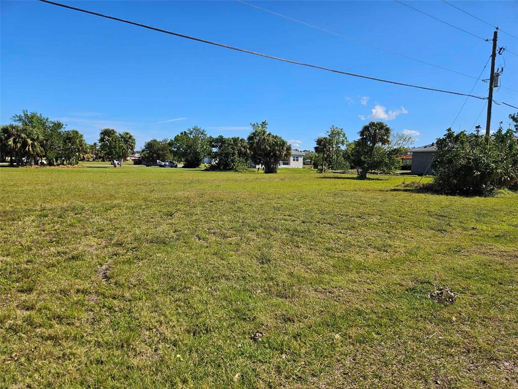A grassy, vacant lot features scattered trees and a utility pole under a clear sky — 24252 PEPPERCORN ROAD, PUNTA GORDA, FL