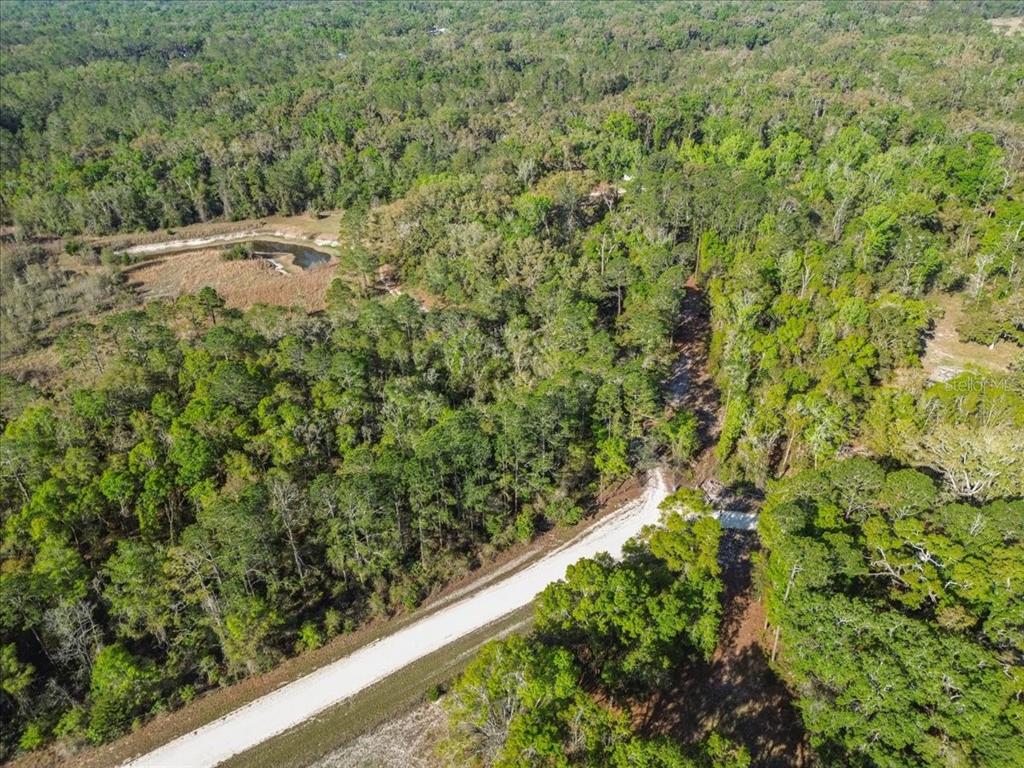 An aerial view shows a white gravel road winding through a dense, wooded forest area — 957 NE 354TH AVENUE, OLD TOWN, FL