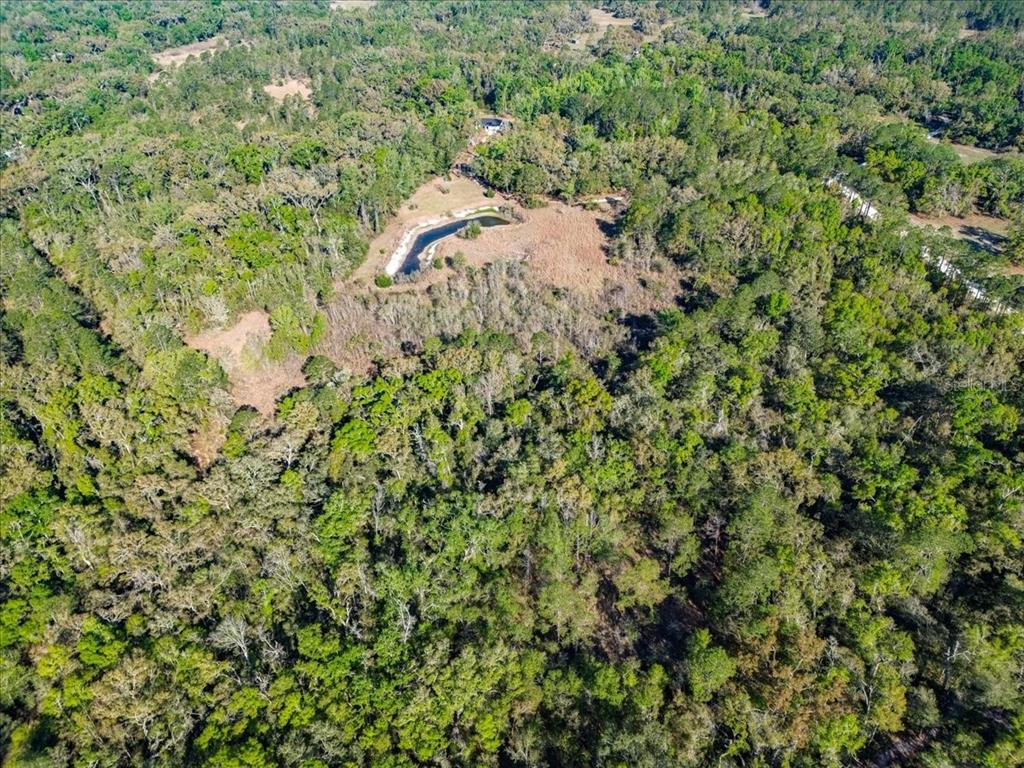 An aerial view shows a small pond surrounded by dense forest and cleared land — 957 NE 354TH AVENUE, OLD TOWN, FL
