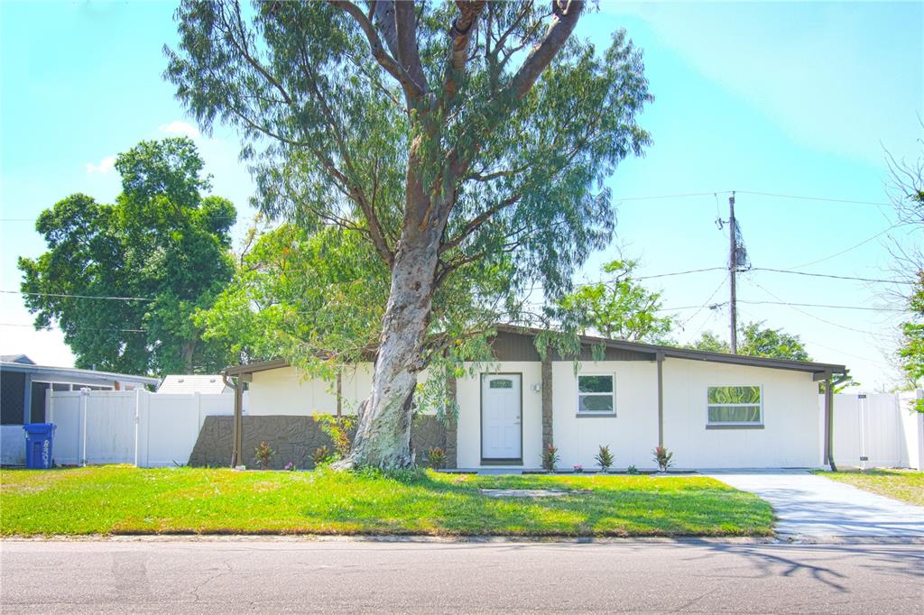 A single-story house with white siding, a large tree in the front yard, and driveway — 8307 LIBBY LANE, TAMPA, FL
