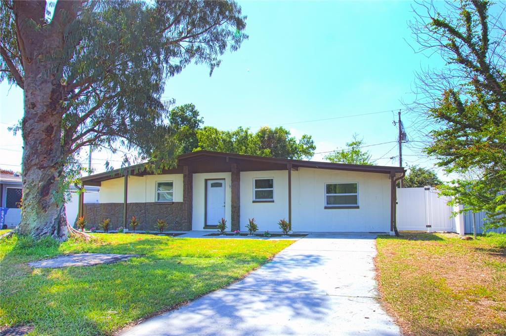 A single-story house with a white exterior, brown accents, and a concrete driveway — 8307 LIBBY LANE, TAMPA, FL