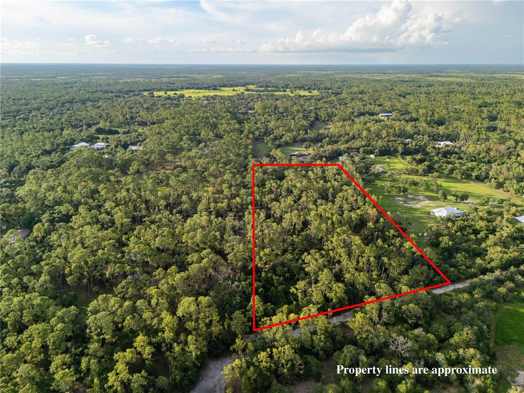 An aerial view shows a wooded, rectangular plot of land outlined in red — SLASH PINE DRIVE, NORTH PORT, FL