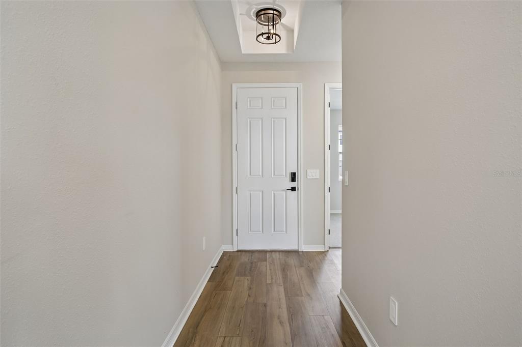 A hallway with light gray walls, wood-look flooring, and a white front door — 5935 FRESH FLORA DRIVE, WIMAUMA, FL